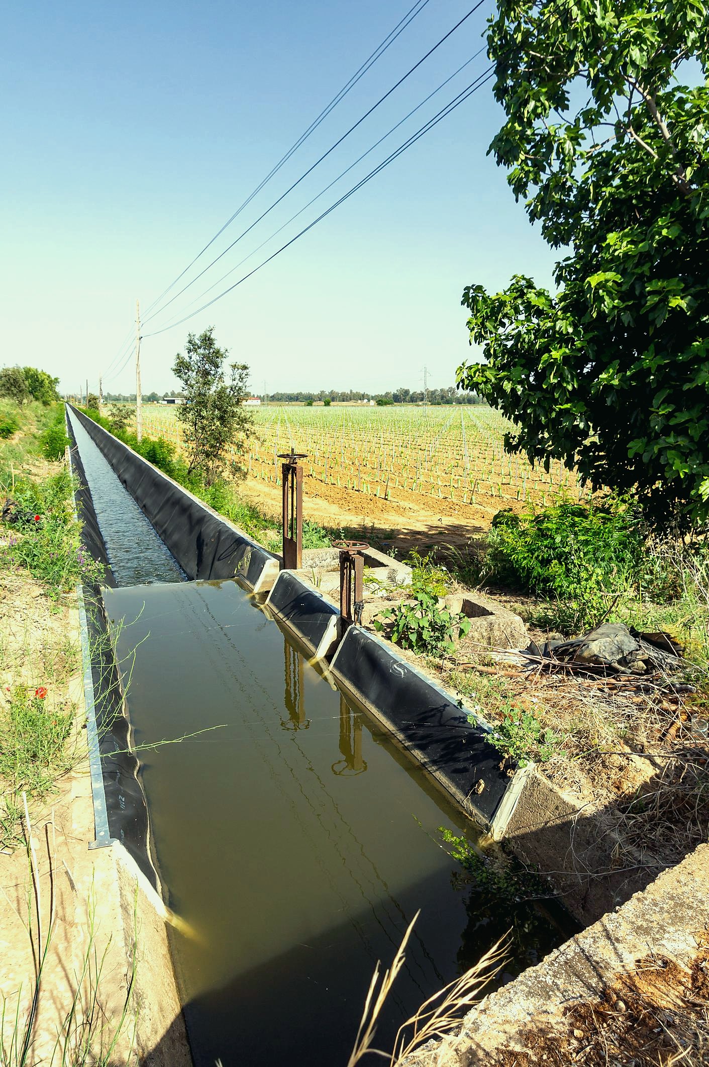 Infraestructura de riego
